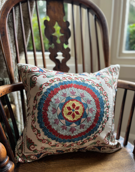 Small & Mighty Suzani Cushion